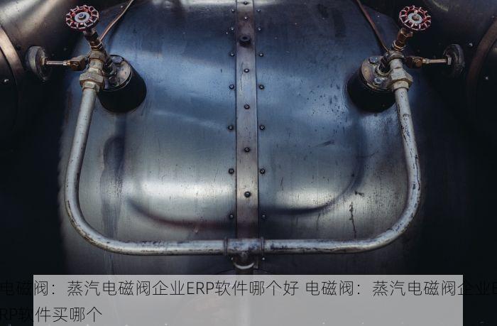 电磁阀：蒸汽电磁阀企业ERP软件哪个好 电磁阀：蒸汽电磁阀企业ERP软件买哪个