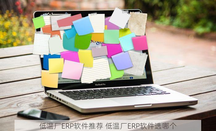 低温厂ERP软件推荐 低温厂ERP软件选哪个